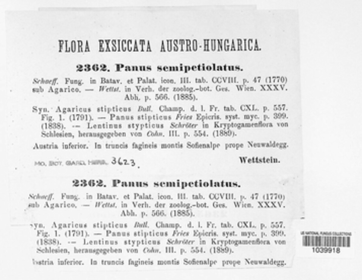 Panus neostrigosus image